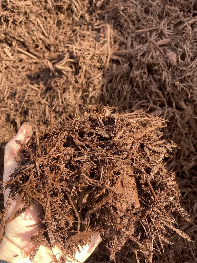 Dyed Brown Holding.webp