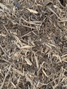 Double Ground Natural Hardwood